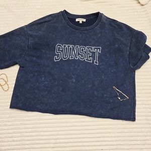 Francescas Blue Embroidered Cropped Crew Neck Sweatshirt with